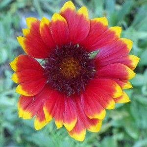 Meet your Posher, Maritta